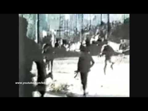 The Guardians Of The Cedar