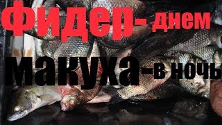 Рыболовные базы астраханской области харабалинский район