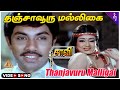 Saavi Tamil Movie Songs Thanjavuru Malligai Video Song Sathyaraj Saritha Gangai Amaran