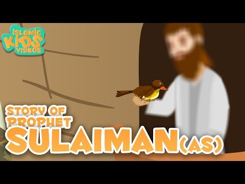 Prophet Stories In English | Prophet Sulaiman (AS) Story|  Stories Of The Prophets | Quran Stories