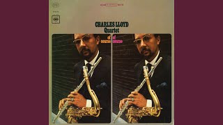 The Song My Lady Sings