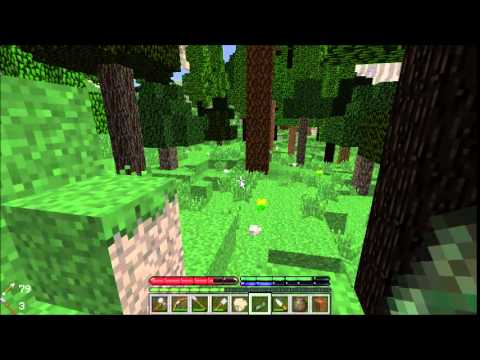 TerraFirmaCraft Season 1 Episode 12 - Exploration is Key