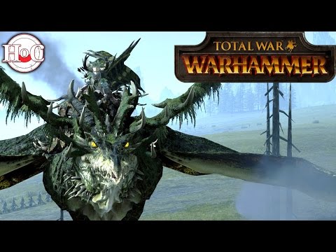 Dwarfs vs Wood Elves  - Total War Warhammer Online Battle 251