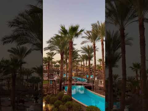 Videos del Golf Beach Resort 5★ en Sharm El Sheikh, EgiptoVer MásVerPrecios12CerrarConsulta por Whatsapp 🇦🇷BookingTripadvisorExpediaTravelocityOrbitzTripSkyscannerDespegarKayakHotelesLastminuteTui