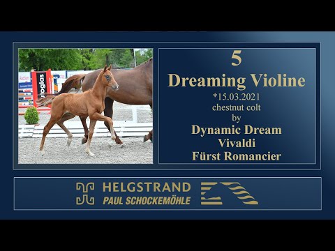 5 Dreaming Violine by Dynamic Dream - Vivaldi - Fürst Romancier