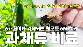 비료 하나 바꾼다고 뭐가 달라져..?! (정말로 달라졌습니다.. 비용 절감과 함께)