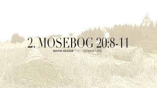 2 Mosebog 20, 8-11