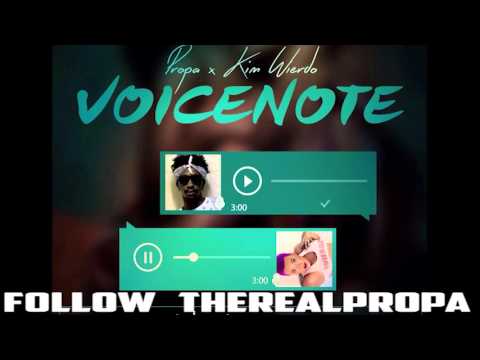 Propa Fade & Kim Weirdo - Voicenote [Dunwell Productions | 3 AM Riddim]