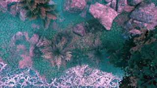 rocky shoreline day rainy foggy