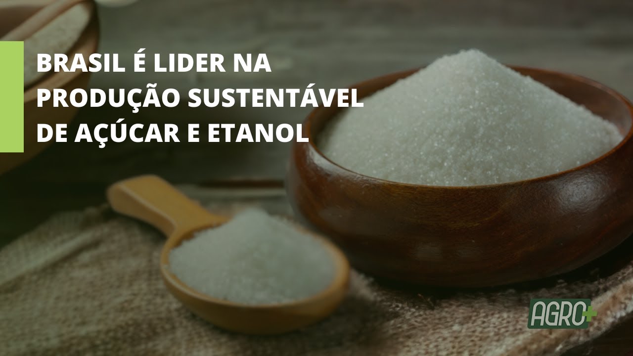 2024: Cultivo de cana-de-açúcar crescerá 11%