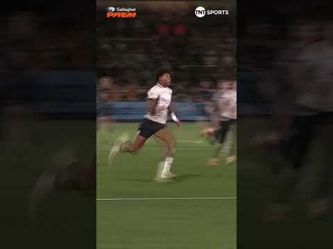 WELCOME TO THE PREM NOAH CALUORI!