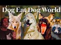 The Absolutely Ruthless World of the Canines