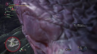 モンスターハンターワールドB版