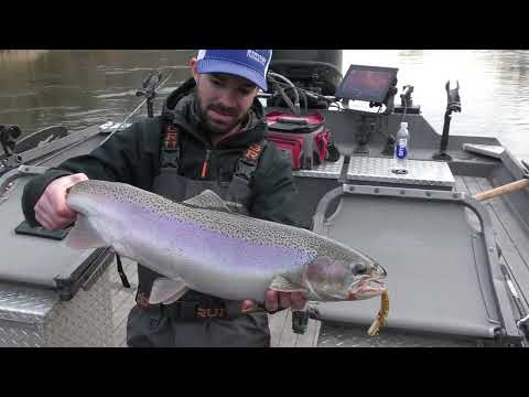 Plug fishing steelhead