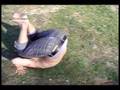 Kiffer S Movie Trailer 1