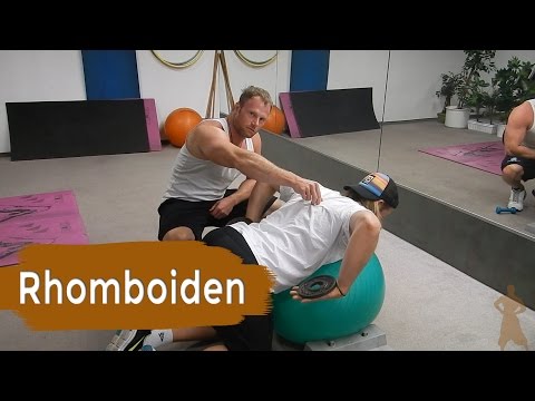 Beste Salbe für Schmerzen im unteren Rücken Joint-Komplex, wenn