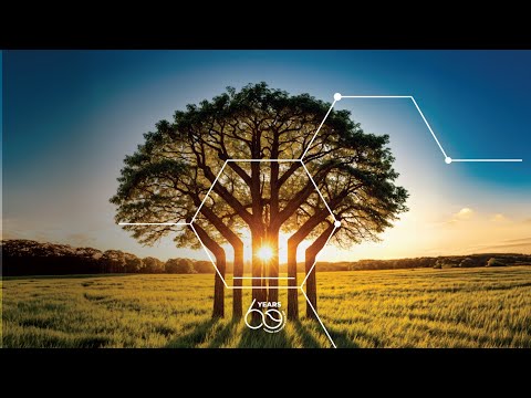 video media thumbnail