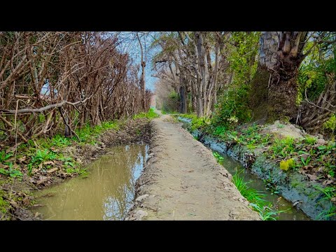 Discovering Bannu's Natural Symphony: A 4K Cinematic Exploration