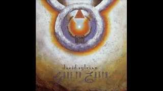 David Sylvian - Gone to Earth