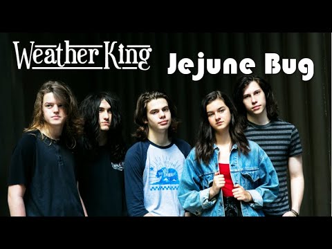 Jejune Bug by Weather King