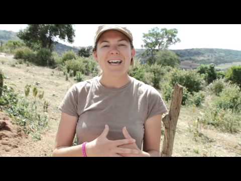 Jambo! Greetings from THE Onederworld in Kenya