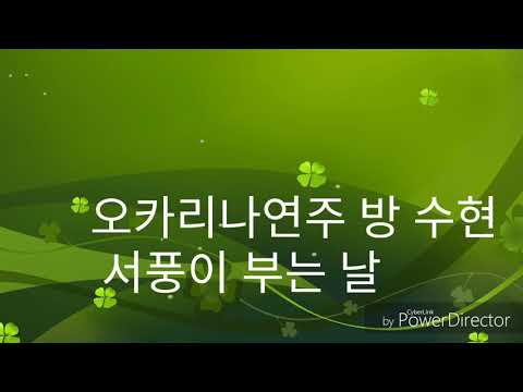 오카리나 방수현