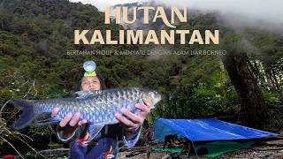 Download lagu 3 days of adventure hunting Mahseer fish in the jungles of Kalimantan mp3 Download lagu 3 days of adventure hunting Mahseer fish in the jungles of Kalimantan mp3