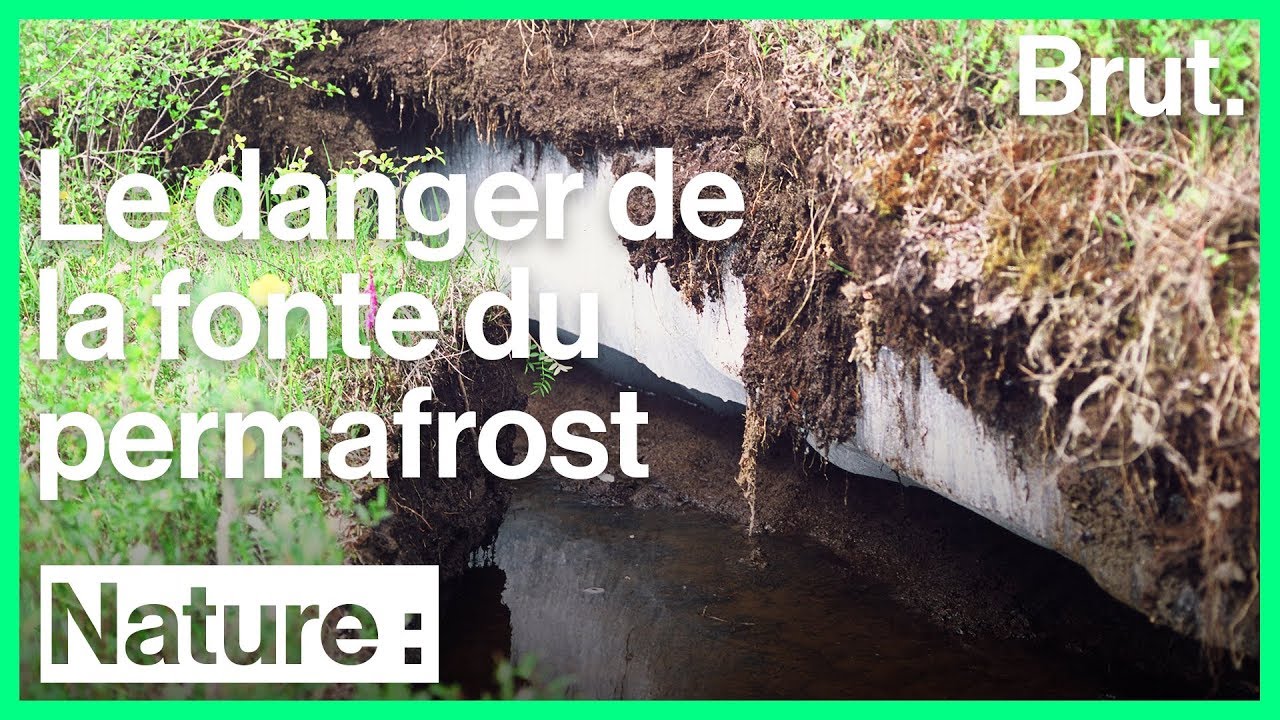Pourquoi il faut sauver le permafrost ?