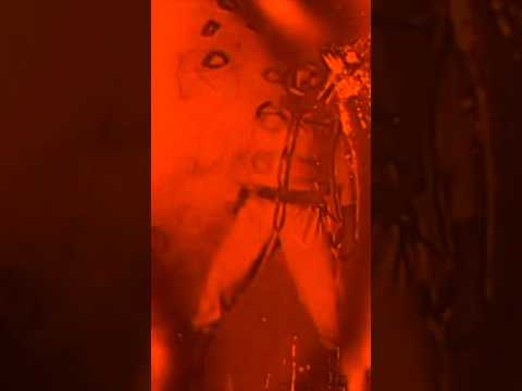 Amoeba Digestion on The Angry Red Planet #shorts #redplanet #scifi #mars