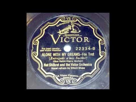 Alone With My Dreams - Nat Shilkret and the Victor Orchestra / Elliott Shaw