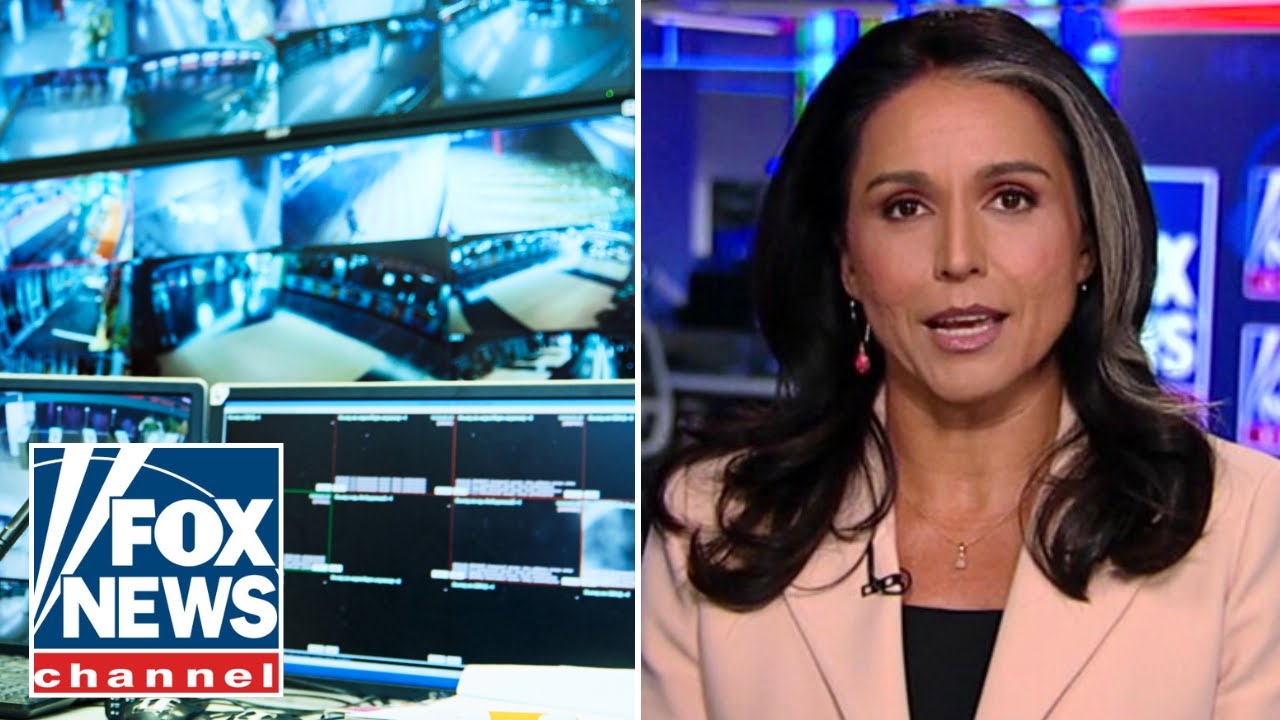 Tulsi Gabbard rips surveillance on her: 'POLITICALLY MOTIVATED'