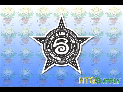 Class 5 Ebb and Flow Hydroponic System