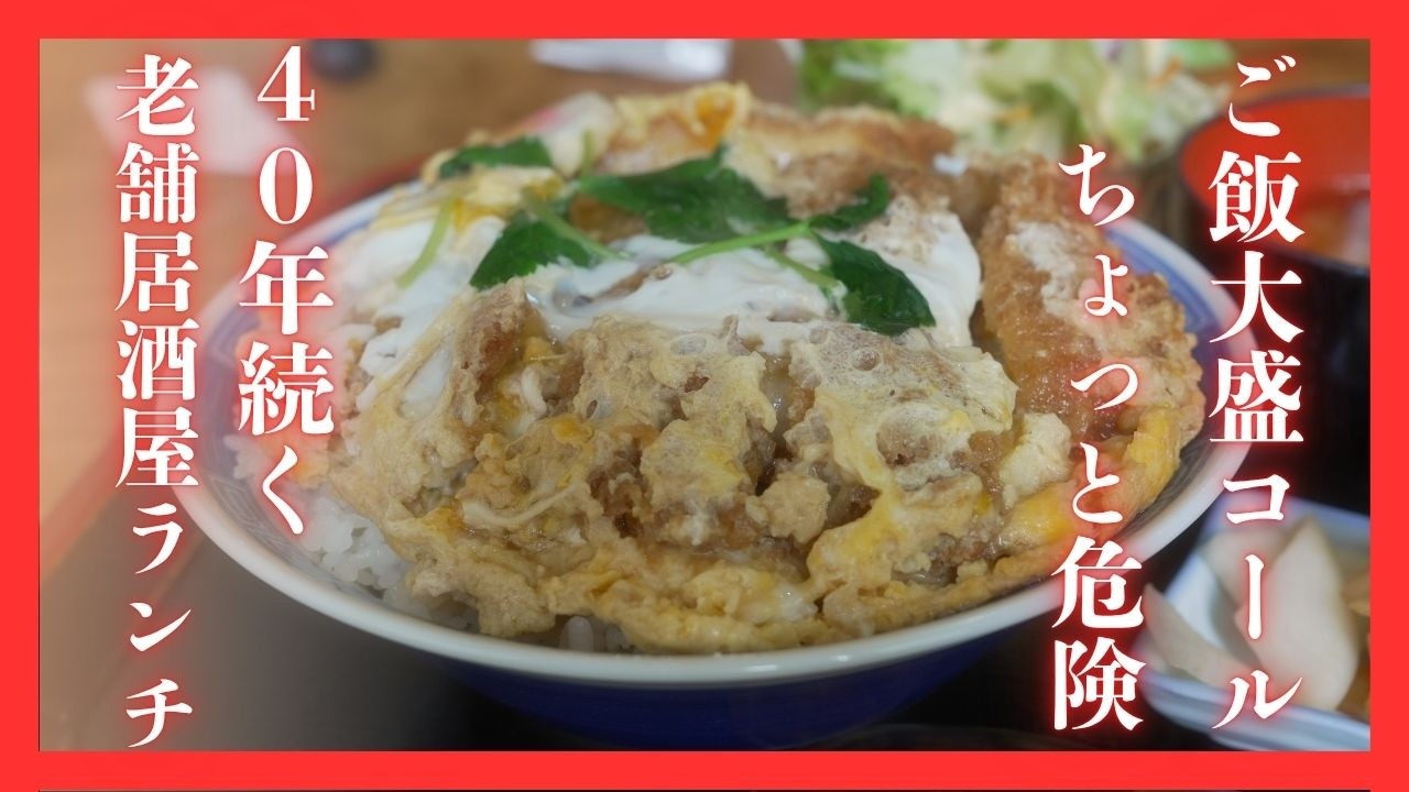 #526 栃木県小山市　大盛コールがちょっと危険。４０年続く老舗居酒屋ランチ　お食事処ひょうたん