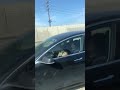 Tesla Driver Asleep at the Wheel