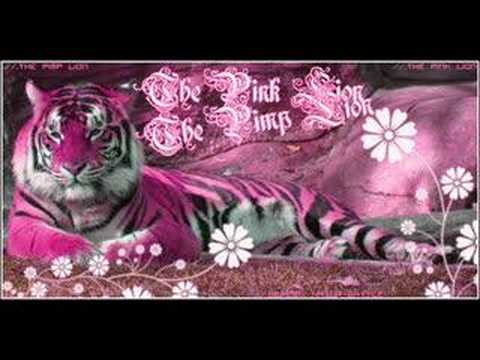 Como Ninguna - Don Omar