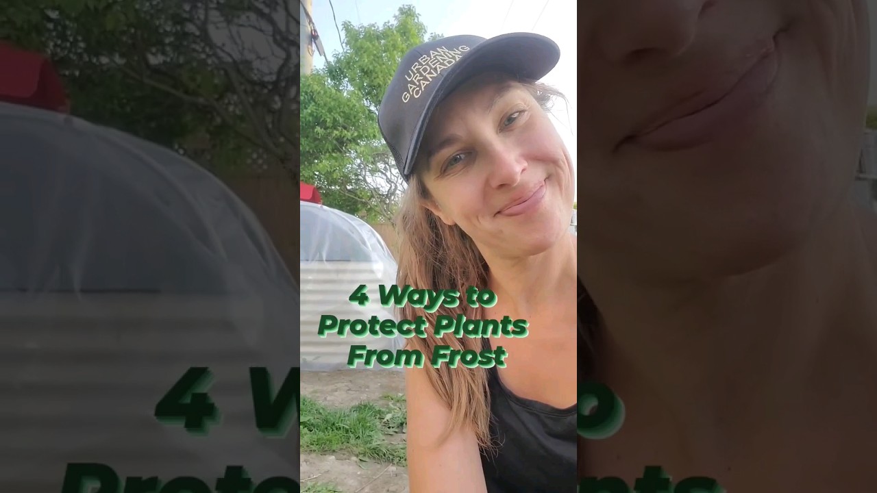 With frost on the horizon, here are 4 ways to protect your plants