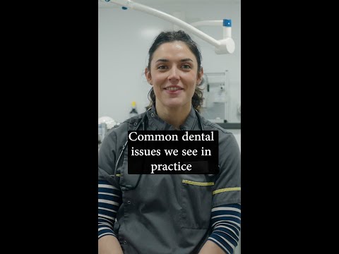 Common pet dental issues to watch out for