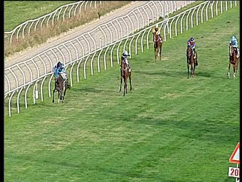 Galoppo 03/12/2019 - 1ª corsa