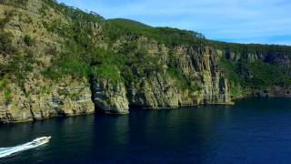 Tasman Island Cruises - 3 Minutes