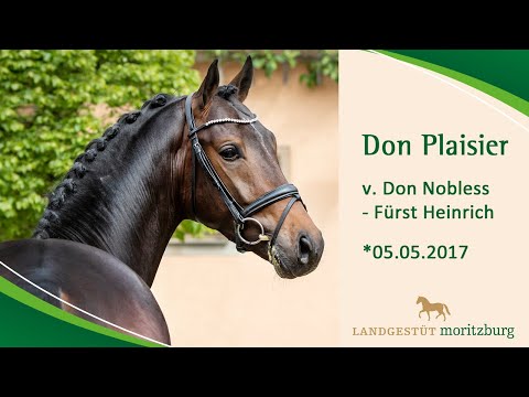 DON PLAISIER v. Don Nobless - Fürst Heinrich
