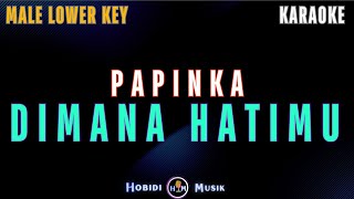 Download lagu Papinka - Dimana Hatimu 'Male Lower Key' (Karaoke Version) mp3