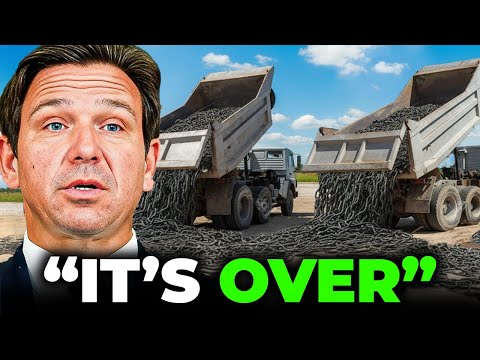 Florida Released Something That Kills Pythons from the Inside, but No One Expected THIS to Happen