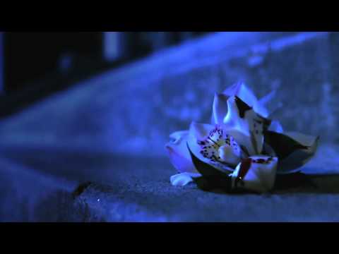 Degrassi: Week 7 Summer Finale Official MuchMusic Promo