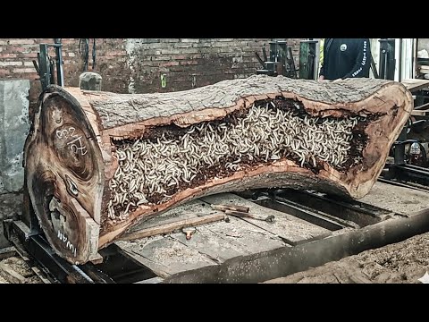 Extreme Risk at the Sawmill ‼ Hollow Wood Full of Venomous Surprises