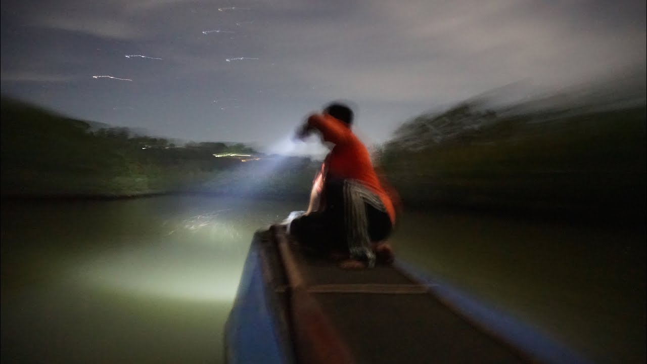 Catch a captivating glimpse of firefly watching in Loay river.