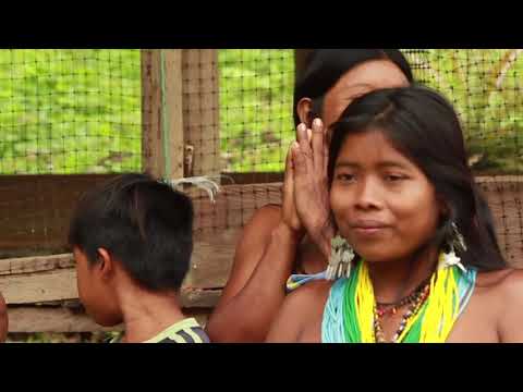 Raíces del Pacífico: Emprendedores del Campo en Chocó 🌊 🌿 🌴👩🏾‍🌾 ✨ 🐚 🌧️ 🇨🇴