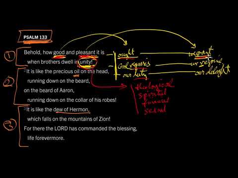 Unity Is the Church’s Perfume: Psalm 133:1