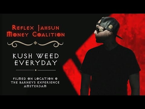 REFLEX JAHSUN - KUSH WEED EVERY DAY - TEAM BARNEYS