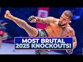 31 Of The Most VIOLENT PFL Finishes From 2025 Feat Pettis Van Steenis Edwards MORE