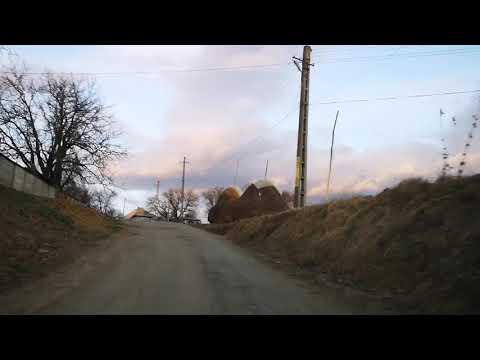 Country Style Mastacan 16.03.2019